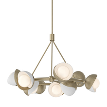 Hubbardton Forge 131068-SKT-MULT-84-02-GG0711 - Brooklyn 9-Light Double Shade Ring Pendant