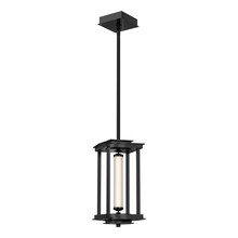 Hubbardton Forge 131630-LED-MULT-89-ZM0733 - Athena 1-Light Small LED Lantern