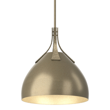 Hubbardton Forge 134502-SKT-MULT-84-84 - Summit Pendant