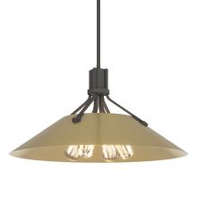 Hubbardton Forge 136340-SKT-MULT-20-86 - Henry Pendant