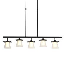 Hubbardton Forge 136605-SKT-SHRT-10-ZU0284 - Wren 5 Light Pendant