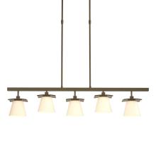 Hubbardton Forge 136605-SKT-STND-84-GG0242 - Wren 5 Light Pendant