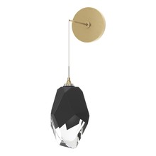 Hubbardton Forge 201398-SKT-86-BP0755 - Chrysalis Large Low Voltage Sconce