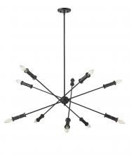 Millennium 29110-MB - Potiss 1 - Light Chandelier Ceiling Light Matte Black