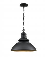 Millennium 81103-PBK - Adda  Outdoor Hanging Lantern Powder Coated Black