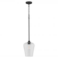 Quorum 3313-59 - Raymond 1 Light Pendant, Matte Black