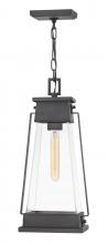 Hinkley 1138AC - Arcadia Medium Hanging Lantern