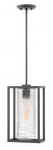 Hinkley 1252SK - Pax Medium Hanging Lantern