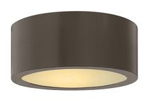 Hinkley 1665BZ - Luna Extra Small Flush Mount