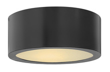 Hinkley 1665SK - Luna Extra Small Flush Mount