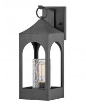 Hinkley 18080DSZ - Amina Medium Wall Mount Lantern