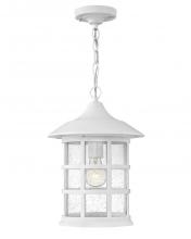 Hinkley 1862TW - Freeport Medium Hanging Lantern