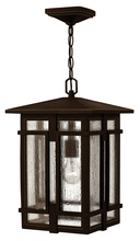 Hinkley 1962OZ - Tucker Medium Hanging Lantern