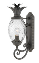 Hinkley 2120MB - Plantation Large Wall Mount Lantern