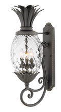 Hinkley 2124MB - Plantation Large Wall Mount Lantern