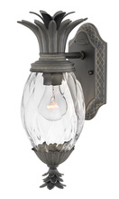 Hinkley 2126MB - Plantation Medium Wall Mount Lantern