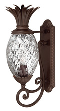 Hinkley 2220CB - Plantation Large Wall Mount Lantern