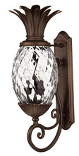 Hinkley 2224CB - Plantation Large Wall Mount Lantern