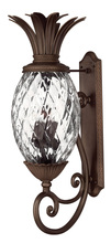 Hinkley 2225CB - Plantation Extra Large Wall Mount Lantern