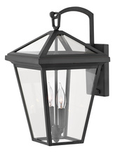 Hinkley 2564MB - Alford Place Medium Wall Mount Lantern