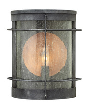 Hinkley 2620DZ - Newport Small Wall Mount Lantern