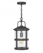 Hinkley 2682BK - Lakehouse Medium Hanging Lantern