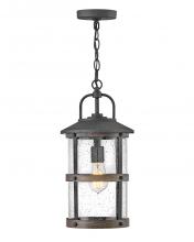 Hinkley 2682DZ-LV - Lakehouse Medium Hanging Lantern 12v