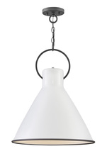 Hinkley 3555PT - Winnie Large Pendant