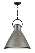 Hinkley 3555RP - Winnie Medium Pendant