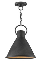 Hinkley 3557DZ - Winnie Medium Pendant