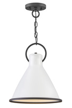 Hinkley 3557PT - Winnie Medium Pendant