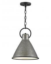 Hinkley 3557RP - Winnie Small Pendant