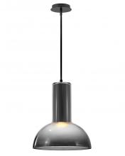 Fredrick Ramond FR41577BK-LL - Ombra Large Pendant